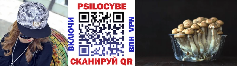 Псилоцибиновые грибы Magic Shrooms  Белоусово 